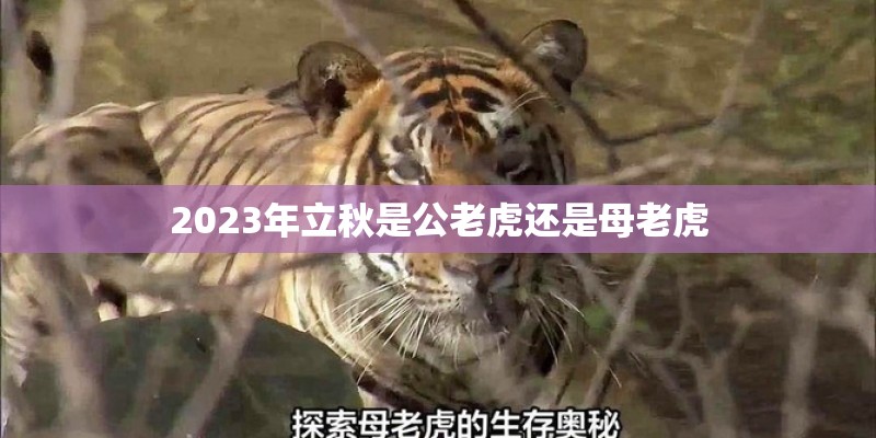 节奏：哦咧咧哦 哦咧咧啦 哦咧咧…… 是什么歌？