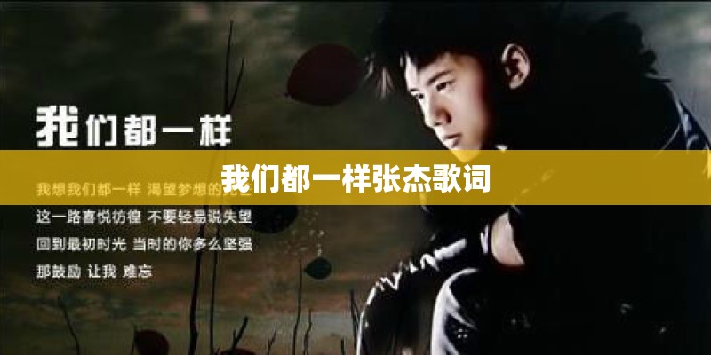 我们都一样张杰歌词