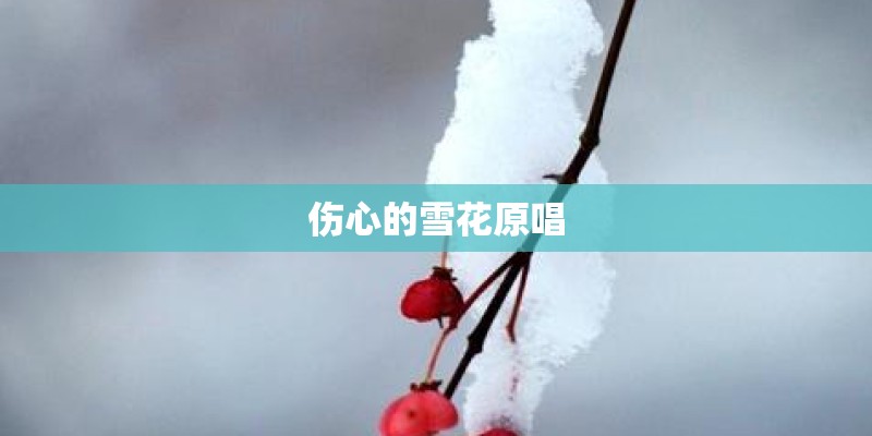 筷子兄弟《父亲》歌词