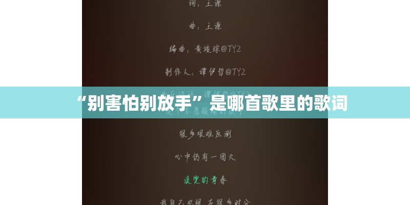 “别害怕别放手”是哪首歌里的歌词