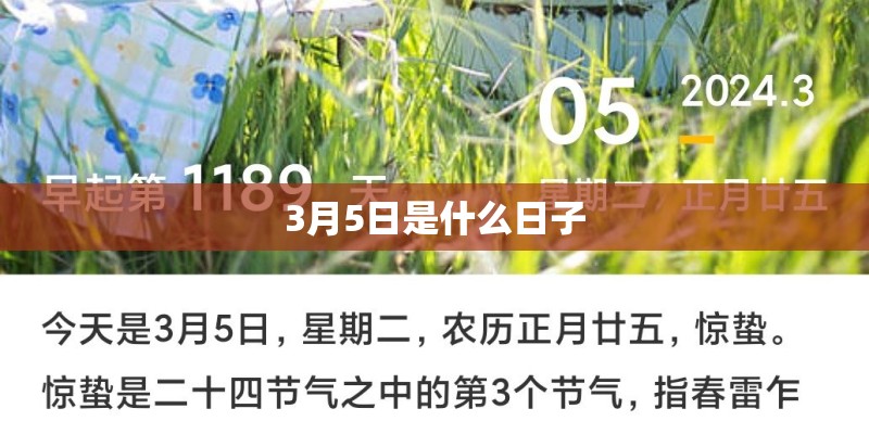 筷子兄弟《父亲》歌词