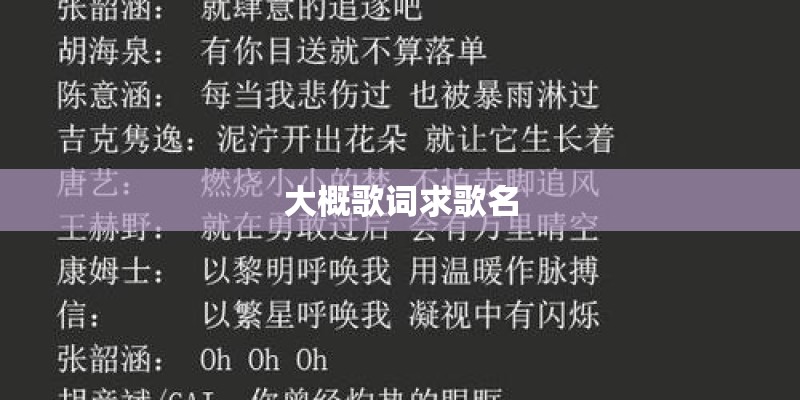 大概歌词求歌名