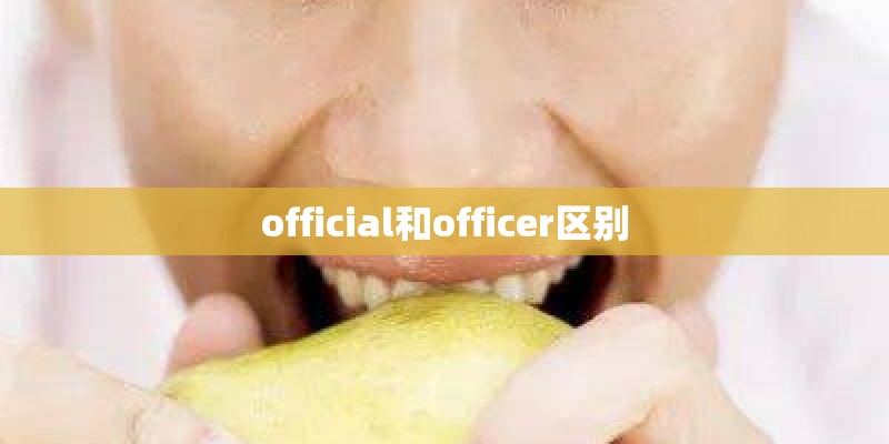 official和officer区别