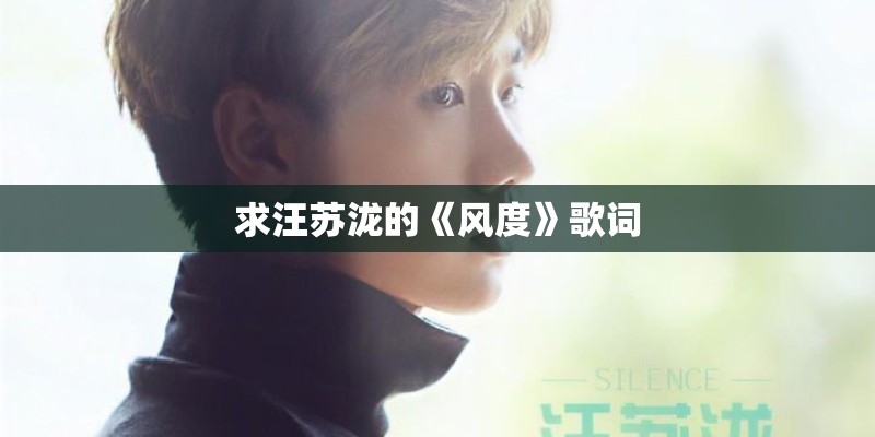 起风了歌词
