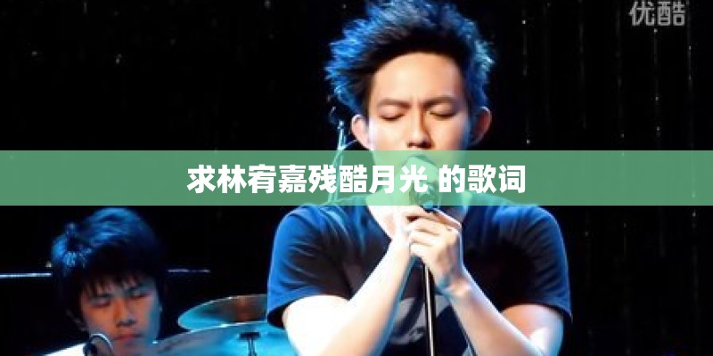 狮子王主题曲canyoufeelthelovetonight中文意思