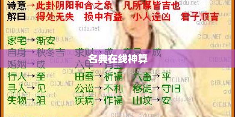 《妻子5》