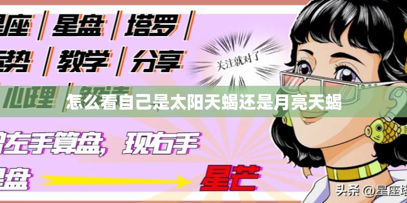 情深深雨蒙蒙 赵薇 的歌词