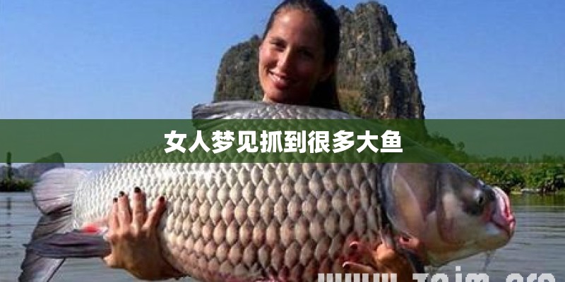 狮子王主题曲canyoufeelthelovetonight中文意思
