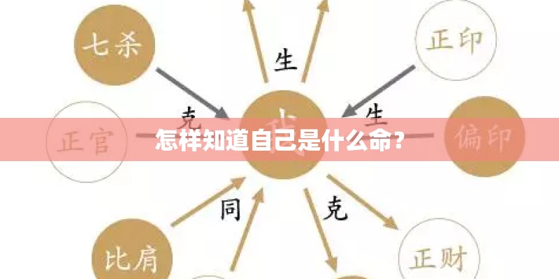 终极一班第五季评价如何？