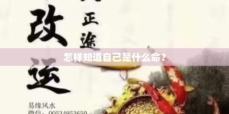 怎样知道自己是什么命? 怎样知道自己是什么命?