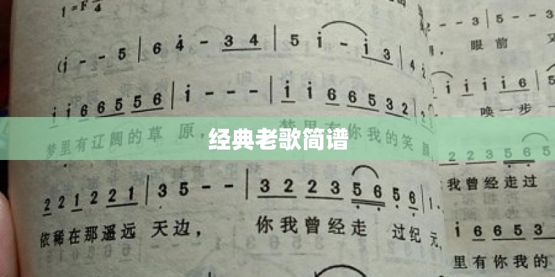 经典老歌简谱
