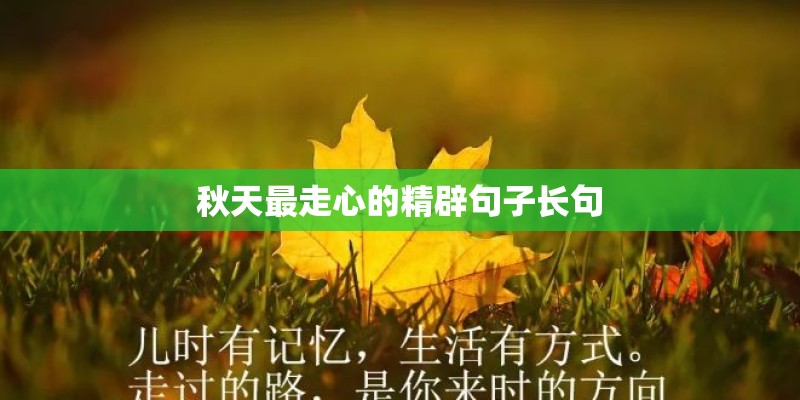 秋天最走心的精辟句子长句