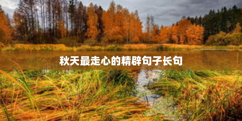 秋天最走心的精辟句子长句