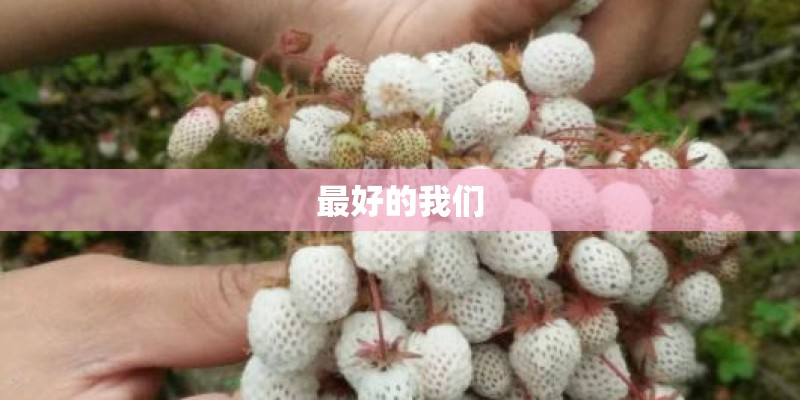 最好的我们
