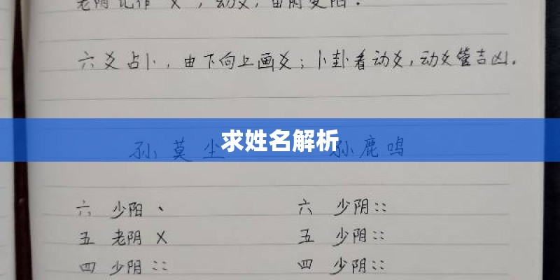 求姓名解析