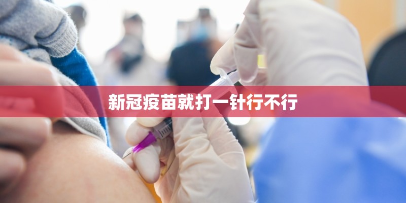 你慢些走别回头是什么歌