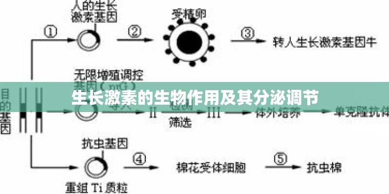 历史上1994年发生了什麼大事？