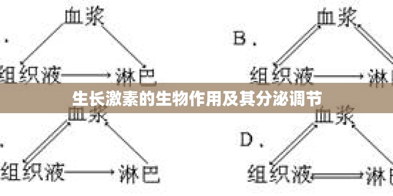 生长激素的生物作用及其分泌调节 生长激素的生物作用及其分泌调节