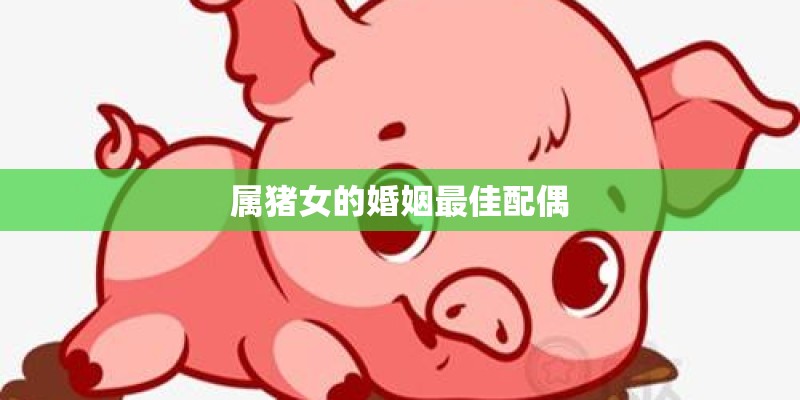 免费六爻排盘详解软件