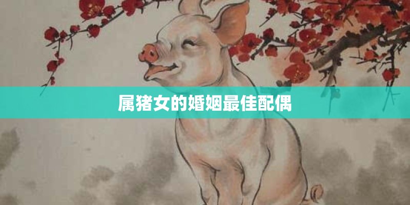 属猪女的婚姻最佳配偶 属猪女的婚姻最佳配偶