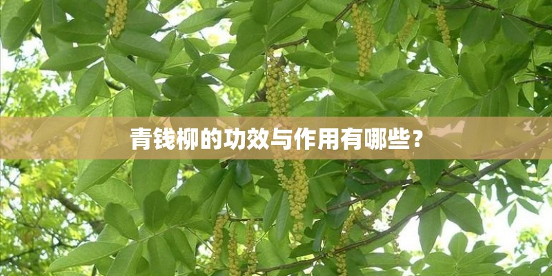 字公司起名 带字的公司名？
