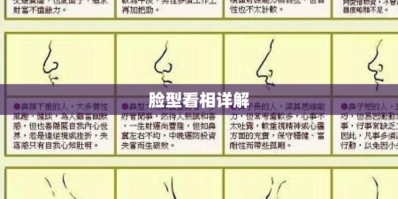 脸型看相详解 脸型看相详解