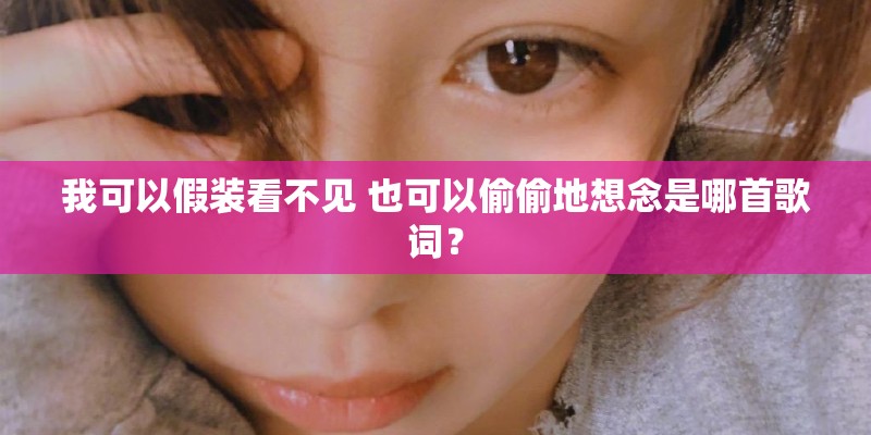 我可以假装看不见 也可以偷偷地想念是哪首歌词？