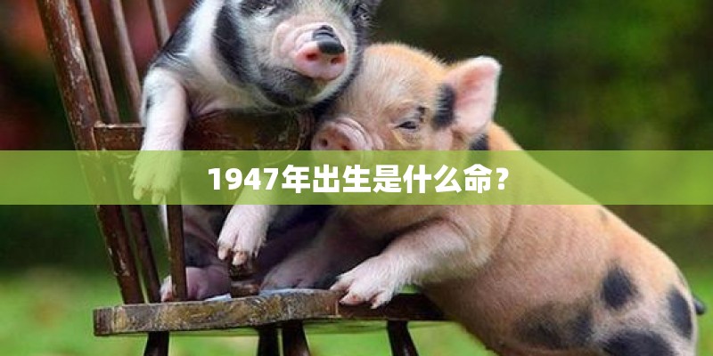 1947年出生是什么命？