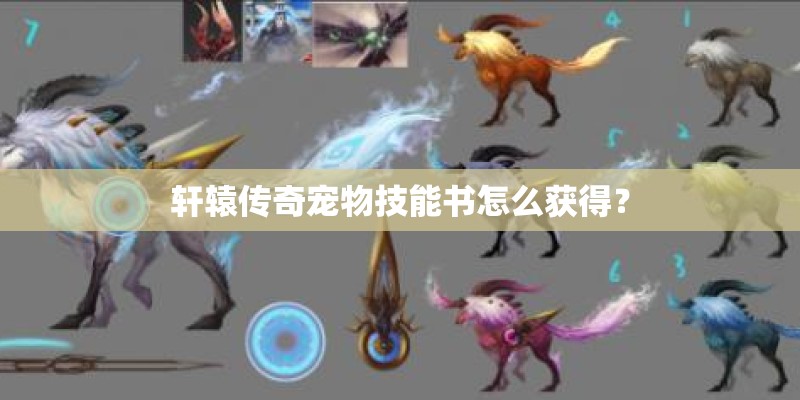轩辕传奇宠物技能书怎么获得？