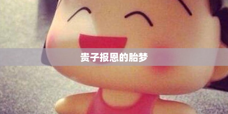贵子报恩的胎梦