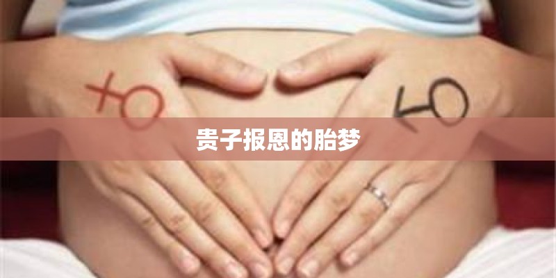 贵子报恩的胎梦