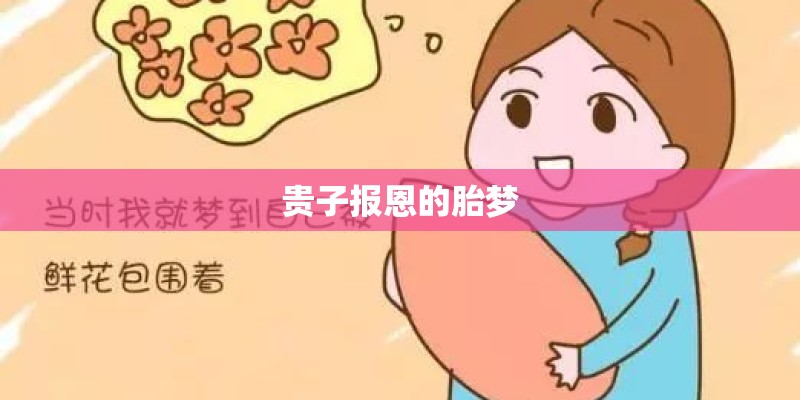 贵子报恩的胎梦