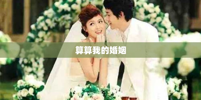 算算我的婚姻