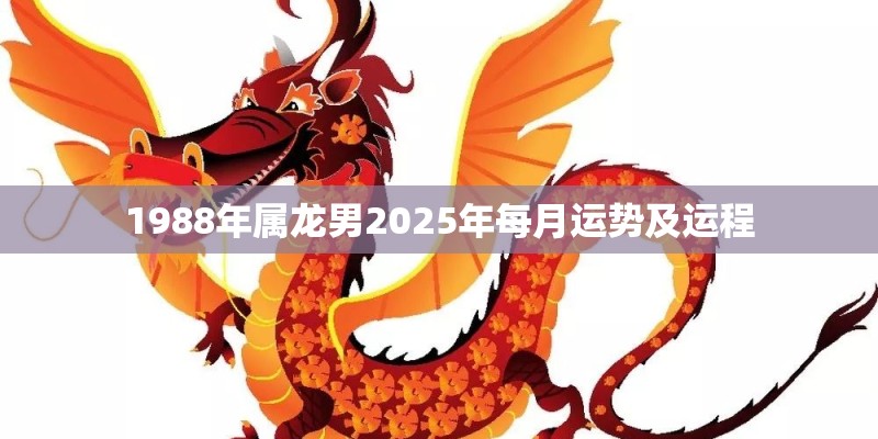 算算我的婚姻