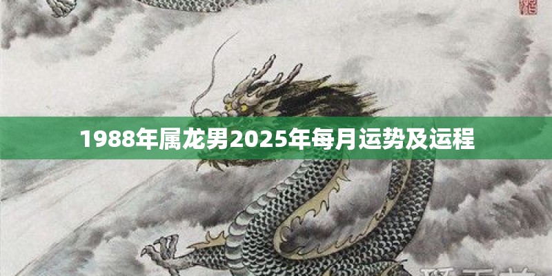 1988年属龙男2025年每月运势及运程