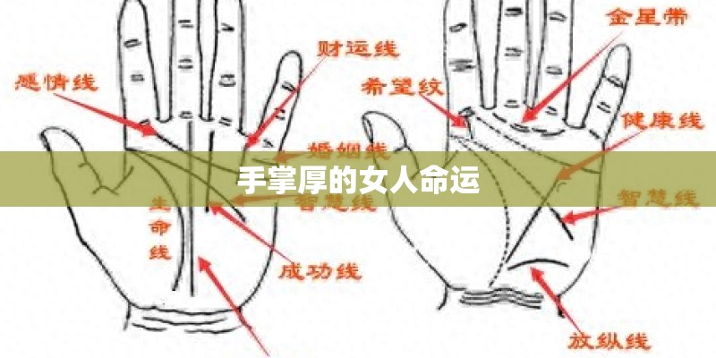 英雄赞歌歌词是什么？