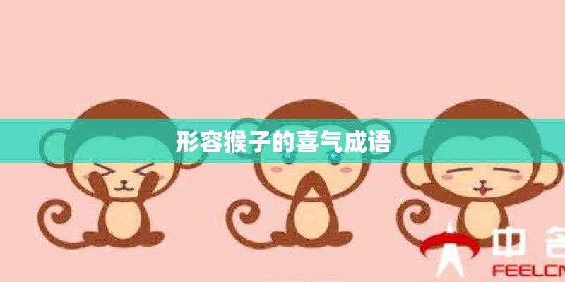 形容猴子的喜气成语