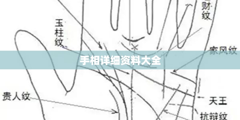 手相详细资料大全