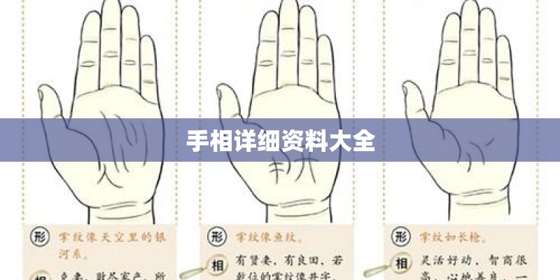 手相详细资料大全