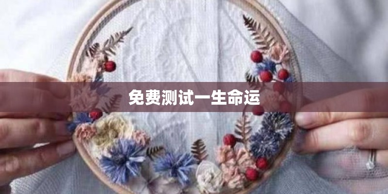 免费测试一生命运