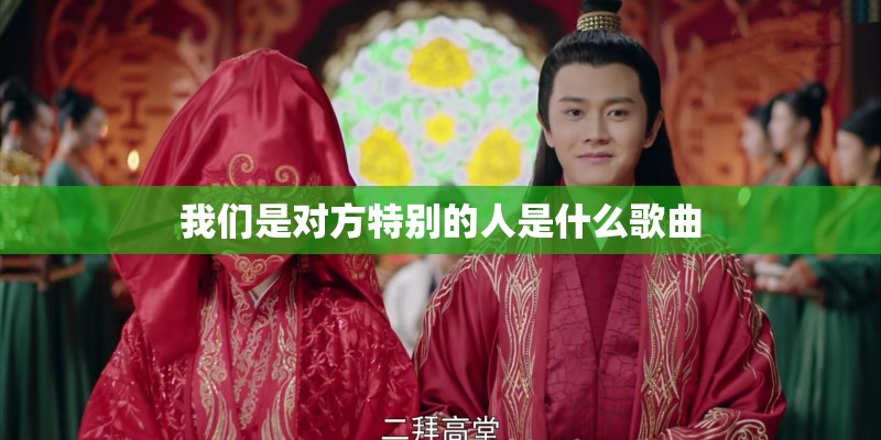 我们是对方特别的人是什么歌曲