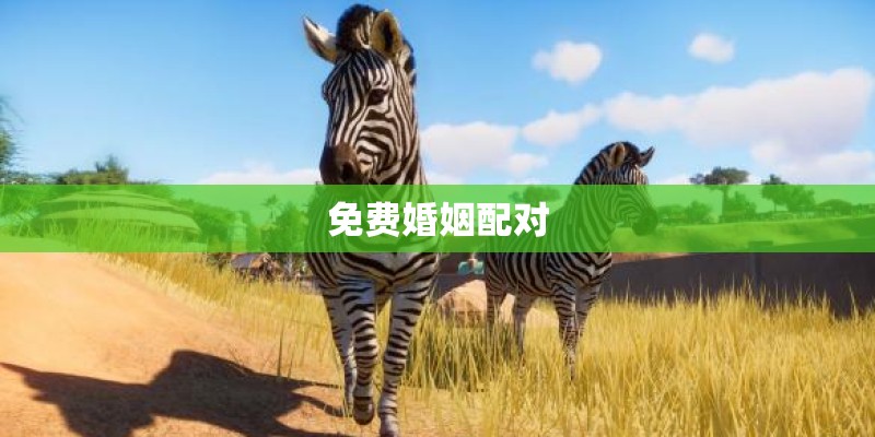 免费婚姻配对