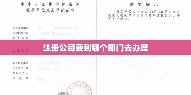 校长的这首歌曲的名字是什么？