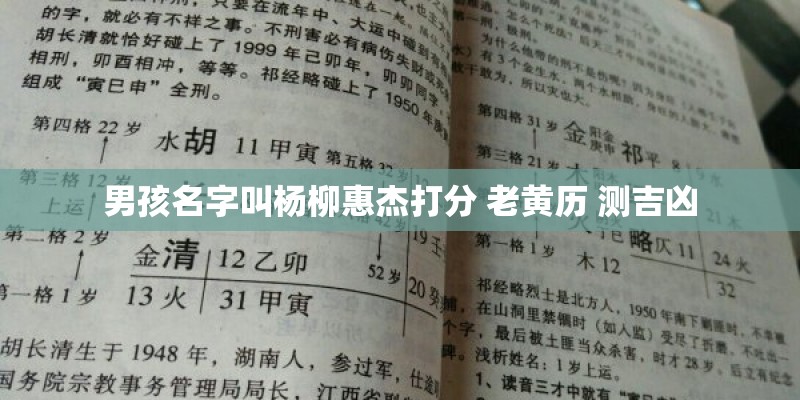 男孩名字叫杨柳惠杰打分 老黄历 测吉凶