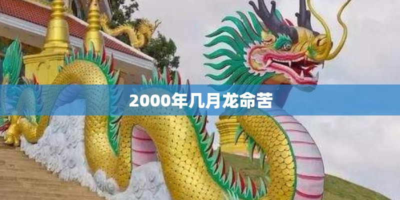 2000年几月龙命苦 2000年几月龙命苦
