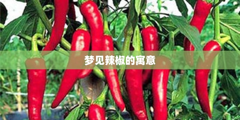 变形金刚主题曲