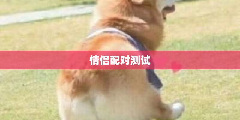 新城国际的北京新城国际