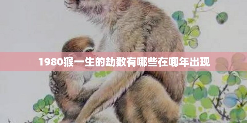达涅利的达涅利 中国公司