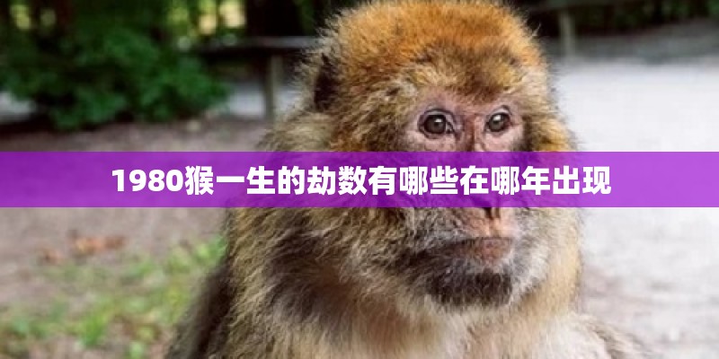1980猴一生的劫数有哪些在哪年出现