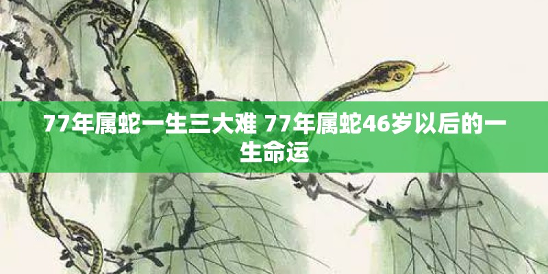 有什么比较好的旅行社呢